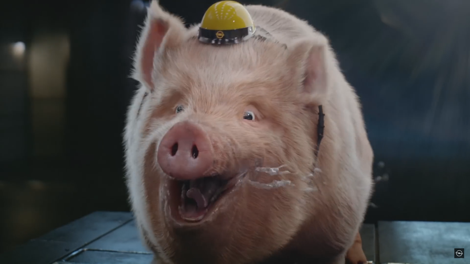 Opel Motorsport – Racing Faces